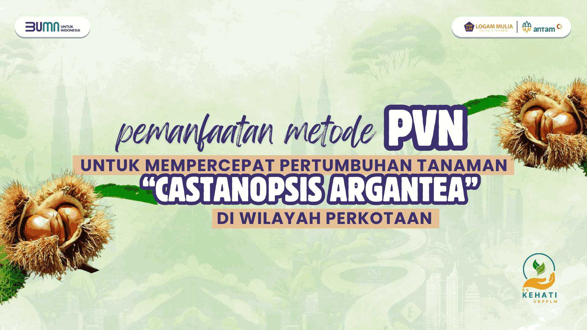 Pemanfaatan Metode PVN untuk Mempercepat Pertumbuhan Tanaman Castanopsis Argantea di Wilayah Perkotaan